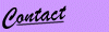 Contact Details